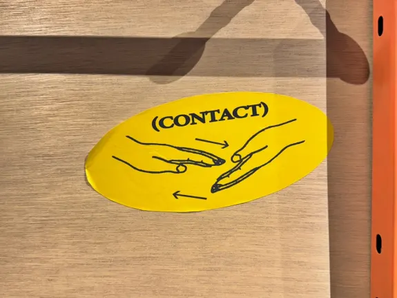 וונדרינו קזינו תמיכה